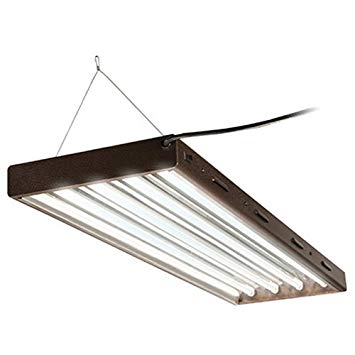 T5 fluorescent outlet fixture